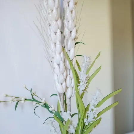 Vendégház Dimore Sonore Gallipoli