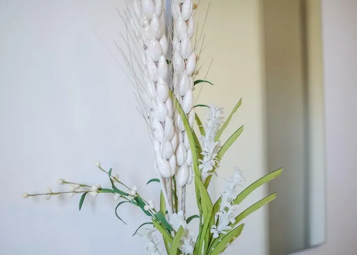 Πανσιόν Dimore Sonore Gallipoli